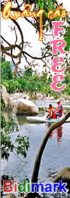 Thiết kế WEB
